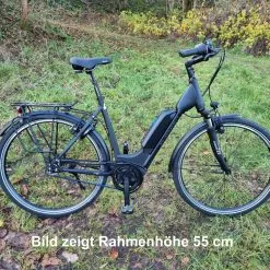 GUDEREIT EC-3.5 RT Einrohr 45 Cm Schwarz Matt 500 WH 2022