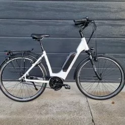 GUDEREIT EC-3.5 RT Einrohr 50 Cm Weiß Glanz 500 WH 2022