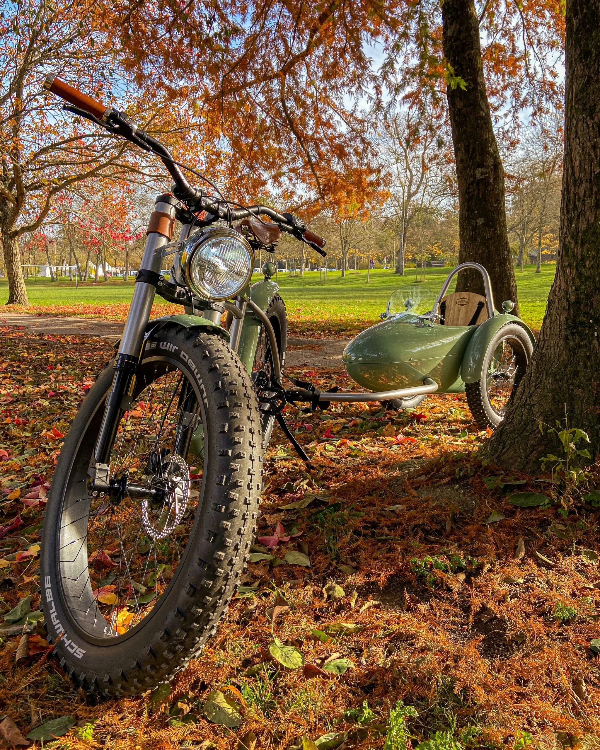 E-Bikes Verkäufe -E-Bikes Verkäufe Automne 1 scaled 1